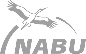 Nabu